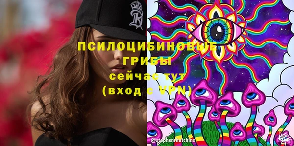 mdpv Медвежьегорск