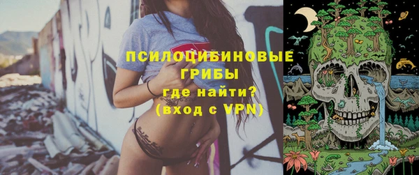 mdpv Медвежьегорск