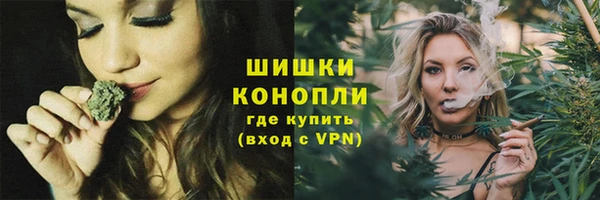 mdpv Медвежьегорск